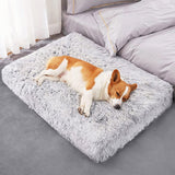 Dog Bed Padded Cushion-Large